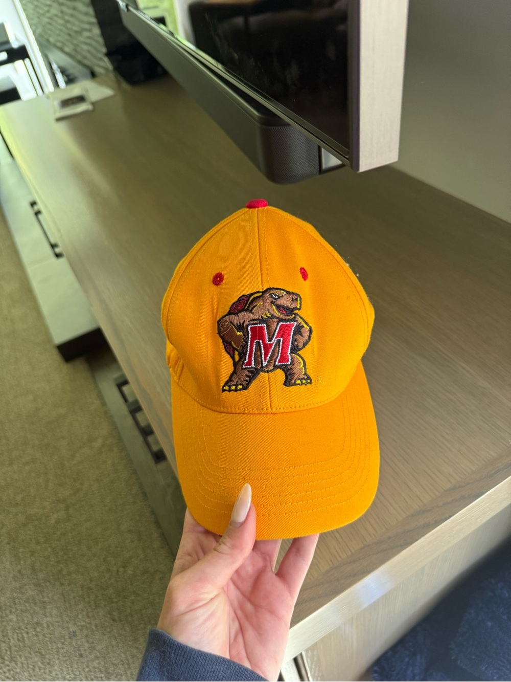 Maryland Terrapins Baseball Hat
